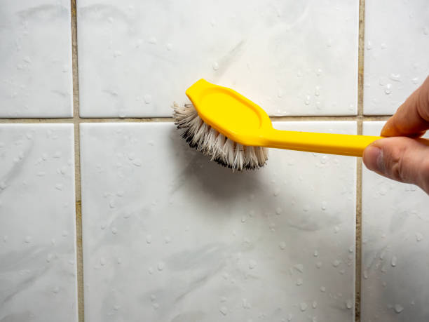 Best Mold Removal Near Me  in Hagerman, ID