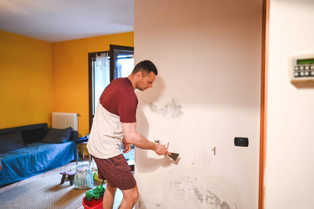 Best Mold Cleaning Services  in Hagerman, ID