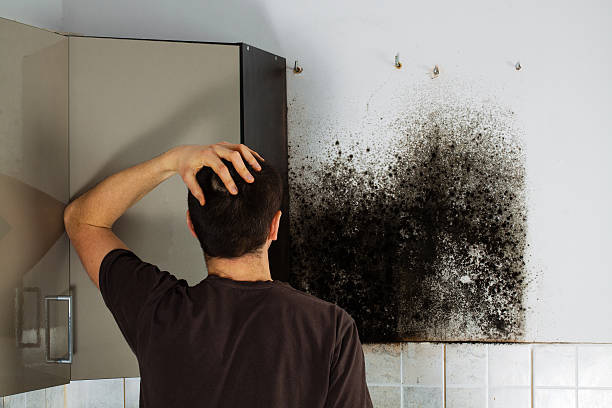 Best Certified Mold Removal  in Hagerman, ID